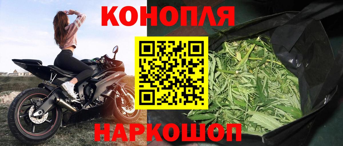 Конопля Bruce Banner Изобильный